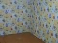Отдельный дом · 3 комнаты · 60 м² · 2 сот., Защита за 5 млн ₸ в Усть-Каменогорске — фото 2