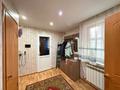 Отдельный дом · 5 комнат · 250 м² · 5 сот., Козыбаева за 45 млн ₸ в Костанае — фото 14