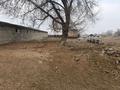 Крестьянское хозяйство или обмен. · 4000 м², бағасы: 70 млн ₸ в Алматы — фото 14