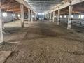 Крестьянское хозяйство или обмен. · 4000 м², бағасы: 70 млн ₸ в Алматы — фото 6