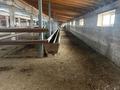 Крестьянское хозяйство или обмен. · 4000 м², бағасы: 70 млн ₸ в Алматы — фото 7