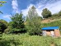 Саяжай · 3 бөлме · 50 м² · 7.5 жүзд., СТ ИРТЫШСКИЙ СТРОИТЕЛЬ-2 — ПРЕДГОРНОЕ, бағасы: 2.5 млн ₸ в Предгорное — фото 31