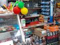 Магазины и бутики • 40 м² за 30 млн 〒 в Талдыкоргане — фото 12