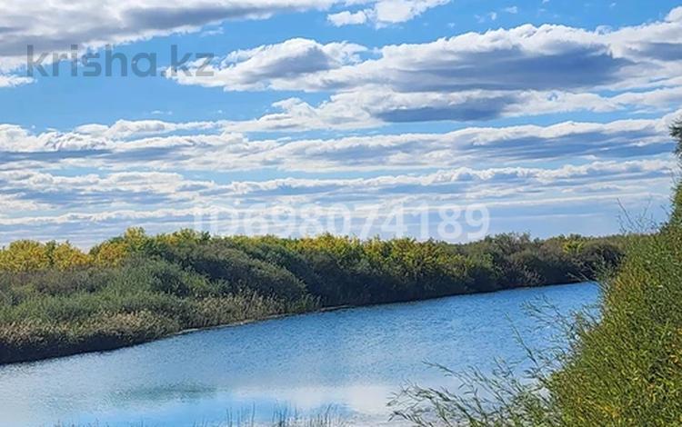 Отдельный дом · 7 комнат · 170 м² · 10 сот., 4 за 35 млн ₸ в Жибек Жолы — фото 12
