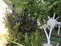 Жеке үй · 4 бөлме · 120 м² · 5.4 жүзд., Кулымбетова — Прям возле ул.Кунаева, бағасы: 38 млн ₸ в Актобе, мкр. Курмыш — фото 25