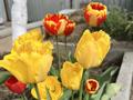 Жеке үй · 4 бөлме · 120 м² · 5.4 жүзд., Кулымбетова — Прям возле ул.Кунаева, бағасы: 38 млн ₸ в Актобе, мкр. Курмыш — фото 30