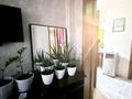 3-бөлмелі пәтер · 90 м² · 4/5 қабат, Зерделі ш/а 19 — Момышулы-Монке би, бағасы: 45.5 млн ₸ в Алматы, Алатауский р-н — фото 5