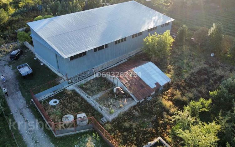 Сельское хозяйство · 540 м² за 115 млн ₸ в Рыскулово — фото 2