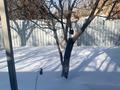 Жеке үй · 4 бөлме · 80 м² · 9 жүзд., СТ Алма 603, бағасы: 65 млн ₸ в Алматы, Наурызбайский р-н — фото 6