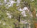 2-бөлмелі пәтер · 45.6 м² · 4/5 қабат, Жубанова, бағасы: 18.5 млн ₸ в Астане, р-н Байконур — фото 4