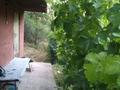 Саяжай · 4 бөлме · 65 м² · 12 жүзд., ПК СТ Тюльпан -1 44, бағасы: 6.5 млн ₸ в Алматы — фото 8