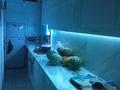 3-бөлмелі пәтер · 54 м² · 1/4 қабат, 6-ш/а. 11 — Мекрой, бағасы: 18 млн ₸ в Актау, 6-й мкр — фото 2