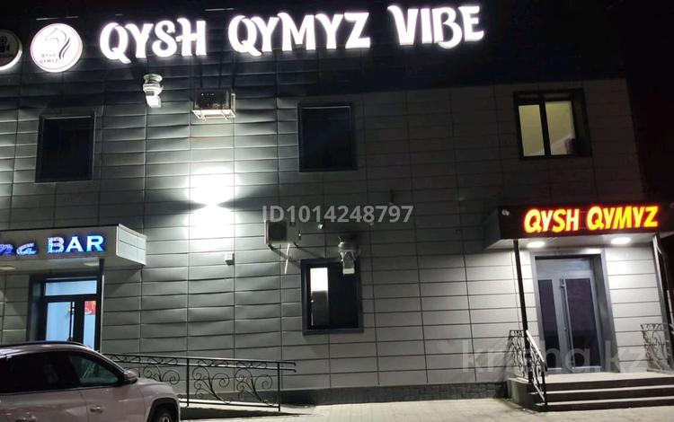Готового бизнеске Кымызхана · 200 м² за 12 млн ₸ в  — фото 2