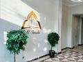 1-бөлмелі пәтер · 50 м² · 14/16 қабат, Нұрсәт ш/а, Назарбаева 14/1 — Нурсултан Назарбаева 14а, бағасы: 17 000 ₸ в Шымкенте, Каратауский р-н — фото 14