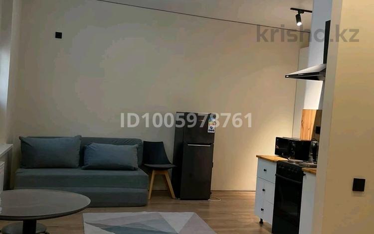 1-комнатная квартира · 31 м² · 1/5 этаж, 20-й микрорайон 47 к1 — улица Саина за 190 000 ₸ в Алматы, Алатауский р-н — фото 29
