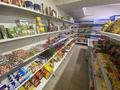 Готовый бизнес продуктовый магазин, 110 м² за 6.2 млн 〒 в Астане, Есильский р-н — фото 5