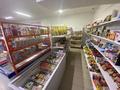 Готовый бизнес продуктовый магазин, 110 м² за 6.2 млн 〒 в Астане, Есильский р-н — фото 7