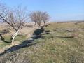 Участок · 1 га, Есик за 5 млн 〒