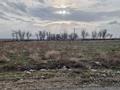 Участок · 8 соток, мкр Сауле , Таңшуақ за 7 млн 〒 в Шымкенте, Аль-Фарабийский р-н — фото 8