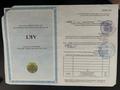 Жер телімі · 10 сотық, Кокбастау 30, бағасы: 3 млн ₸ в 
