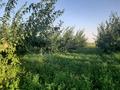 Ауыл шаруашылығы • 14000 м², бағасы: 12.5 млн 〒 в Шымкенте — фото 8