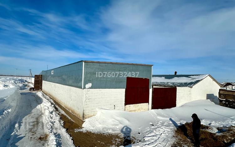 Действуюший бизнес откорм база · 2500 м² за 62 млн ₸ в Акмоле — фото 58