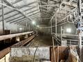 Действуюший бизнес откорм база · 2500 м² за 62 млн ₸ в Акмоле — фото 13