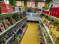 Магазины и бутики • 221 м² за 150 млн 〒 в Астане, Алматы р-н — фото 10
