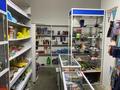 Магазины и бутики • 221 м² за 150 млн 〒 в Астане, Алматы р-н — фото 37