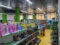 Магазины и бутики • 221 м² за 150 млн 〒 в Астане, Алматы р-н — фото 7