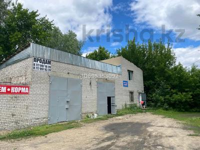 Свободное назначение · 270 м² за 67.5 млн ₸ в Семее, Красный Кордон