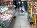 Магазины и бутики · 200 м² за 200 000 ₸ в Баянауле — фото 6