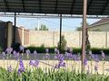 Жеке үй · 7 бөлме · 224 м² · 8 жүзд., Абдуллина 14 14 — Район Торткуль, бағасы: 65 млн ₸ в Таразе — фото 3