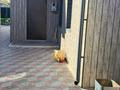 Отдельный дом · 4 комнаты · 92.5 м² · 4.2 сот., Сибирская 24 за 30 млн 〒 в Павлодаре — фото 25