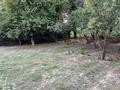 Участок · 8 соток, мкр Бадам-1 57А за 5 млн ₸ в Шымкенте, Енбекшинский р-н — фото 2