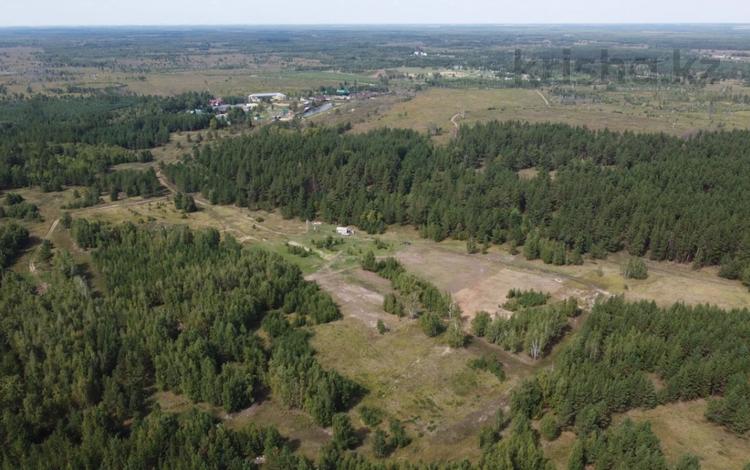 Жер телімі · 286 сотық, 27-й км Сарыкольской трассы, 131, бағасы: 120 млн ₸ в Костанае — фото 2