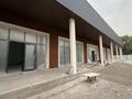 Свободное назначение, магазины и бутики · 620 м² за 250 000 ₸ в Байтереке (Новоалексеевке) — фото 3