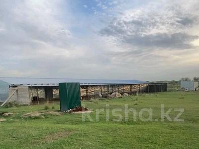 Участок · 600 соток, Береке за 100 млн 〒 в Акбастау