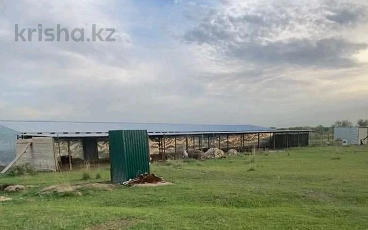 Участок · 600 соток, Береке за 100 млн 〒 в Акбастау — фото 2