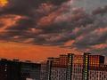 2-комнатная квартира · 39 м² · 9/9 этаж, Ильяса Омарова 19 за 27.5 млн ₸ в Астане, Нура р-н — фото 16