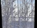 Дом · 2 комнаты · 45 м², Толе би — ВОАД за 39 000 〒 в Алматы, Медеуский р-н — фото 34
