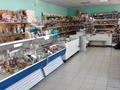Магазины и бутики • 141 м² за 15 млн 〒 в Топаре — фото 2