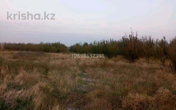 Участок · 10 га, Возле село Чиркина за 120 млн ₸ в Шымкенте — фото 2