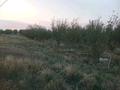 Участок · 10 га, Возле село Чиркина за 120 млн ₸ в Шымкенте — фото 5