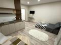 1-бөлмелі пәтер · 36 м² · 1/9 қабат, Шак Шак Жанибек 45В, бағасы: 12 000 ₸ в Костанае — фото 2