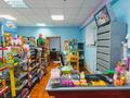 Магазины и бутики • 82 м² за 26.5 млн 〒 в Астане, Сарыарка р-н — фото 9
