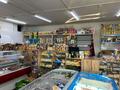 Продуктовый магазин · 55 м² за 50 млн ₸ в Усть-Каменогорске, Ахмирово — фото 2