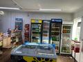 Продуктовый магазин · 55 м² за 50 млн ₸ в Усть-Каменогорске, Ахмирово — фото 3