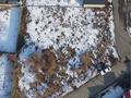 Участок · 8.5 соток, Талдыкорган за 9 млн ₸