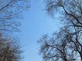 3-бөлмелі пәтер · 58 м² · 2/4 қабат, мкр №3 — Саина, бағасы: 38.5 млн ₸ в Алматы, Ауэзовский р-н — фото 17